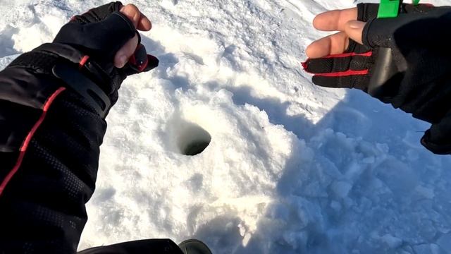 Чебаки в место щук.Аргази непредсказуемы.