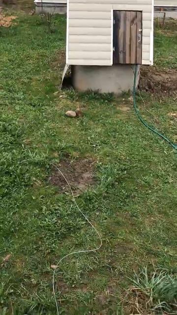 Водопровод для дачи под ключ Московская область 8 906 395 77 77 kolodezdoma.ru смотреть онлайн