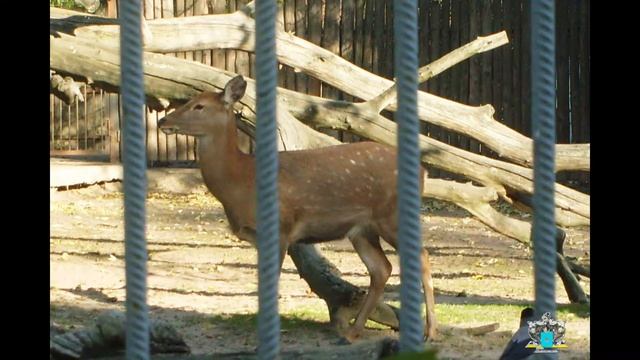 Київський Зоопарк (Київ.UA)