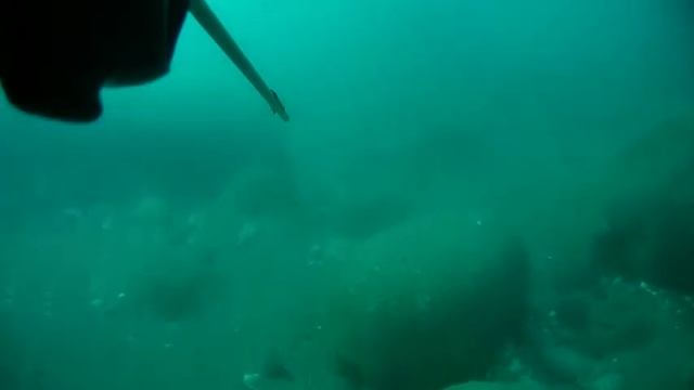 начало отпуска смотреть онлайн