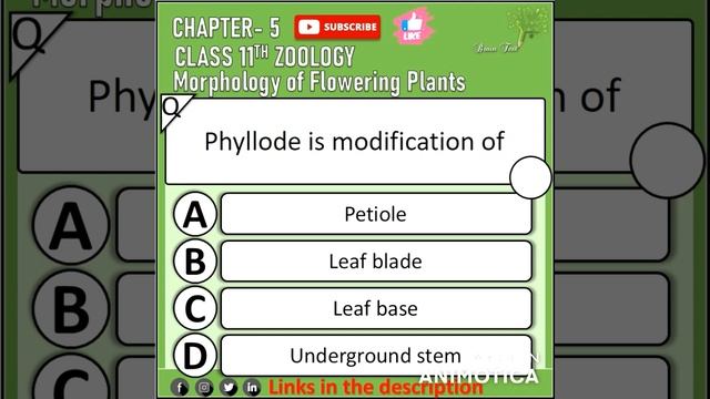 Morphology of flowering plants mcq for neet 2022 ncert fingertips смотреть онлайн