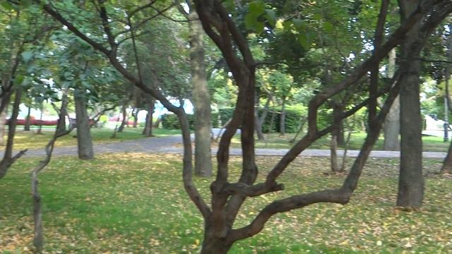 00273 смотреть онлайн