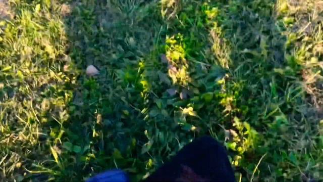 Играем В Догонялки и Кушаем Картошку Фри