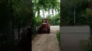 Трактор Кировец К20 С АВИТО