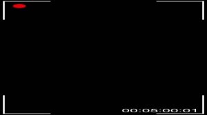 Vertical Camera Recording Overlay - Phone Footage Old School VHS | Free Stock Footage