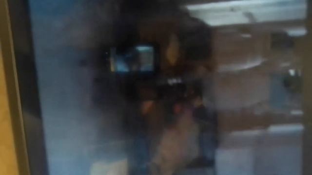 реакция на новую историю ворлд бегемот кот