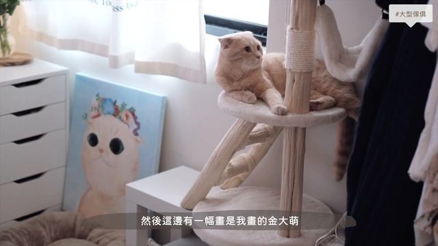 居家上班必看！打造多功能居家辦公室，對的環境才能認真工作啊！｜居家改造｜小房間大改造｜小坪數改造｜小日刀口 смотреть онлайн