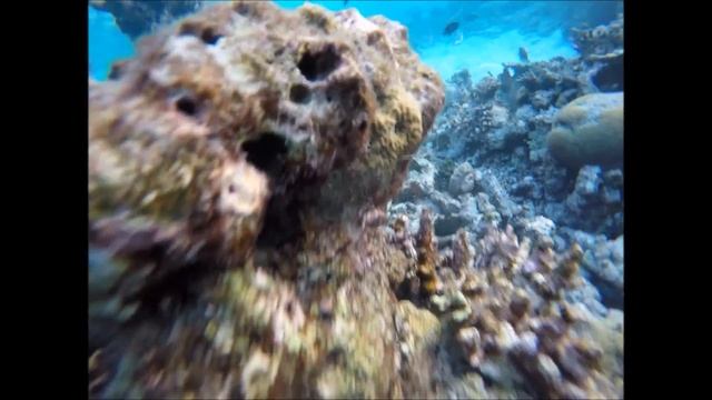 Eriyadu Maldives 2017 Snorkeling and Beach смотреть онлайн