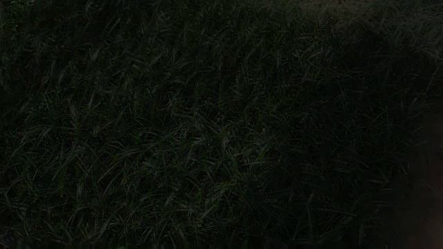 New Selections for 2022 смотреть онлайн