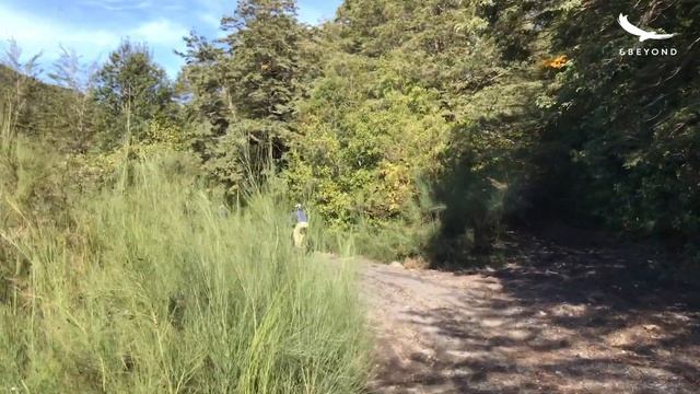 Experiences TV | Mountain Biking through the Villarrica National Park | Chile смотреть онлайн