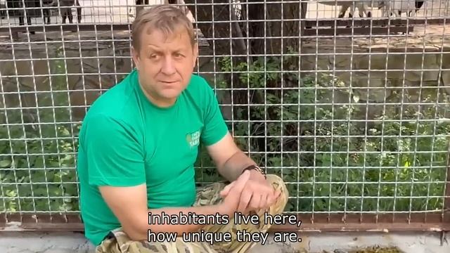 Kabachok's in a bad mood and turned on JAGUAR, and Dana the orangutan can PLAY all the tim смотреть онлайн