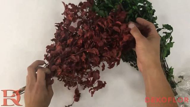 Стабилизированные ветви красного Питоспорума