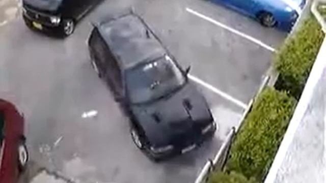 Облили кота с балкона смотреть онлайн