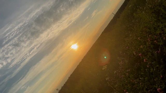 ЗВУКИ ЛЕСА 🦊 воспоминание как это было смотреть онлайн