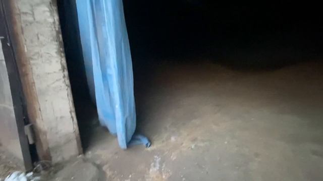 18 ноября 2023 г. смотреть онлайн