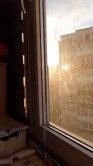 Релакс, дым , дымок #funny #подпишись #прикол #memes #automobile #insects