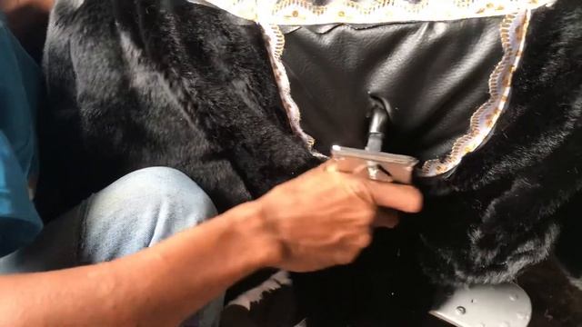 Pemasangan timer koin animal ride смотреть онлайн