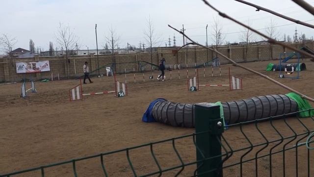 Оля Оззи аджилитон джампинг