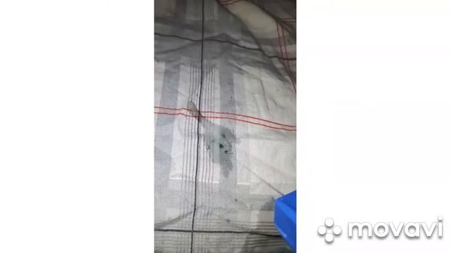 Пятновыводитель творит чудеса на глазах. Многофункциональная электролизная вода Гринлиф смотреть онлайн