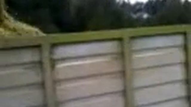 Claas jaguar 840 koszenie kukurydzy podlaskie gm jedwabne смотреть онлайн