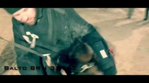 KNPV training in Ukraine