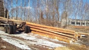 Разгрузка лесовоза.