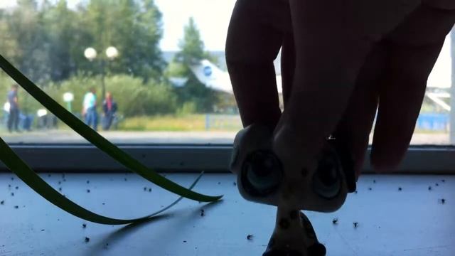 я лечу в Тюмень! смотреть онлайн