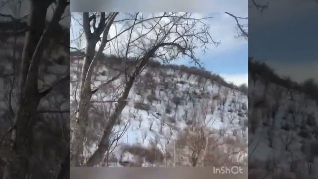 Яблоневый сад зимой смотреть онлайн