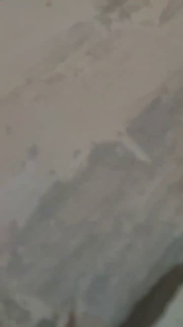 Пена издает страшный звук. Слушать внимательно #монтажнаяпена #мкд #двери #монтаж #строительство смотреть онлайн