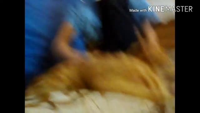 Кот не смеётся!!! смотреть онлайн