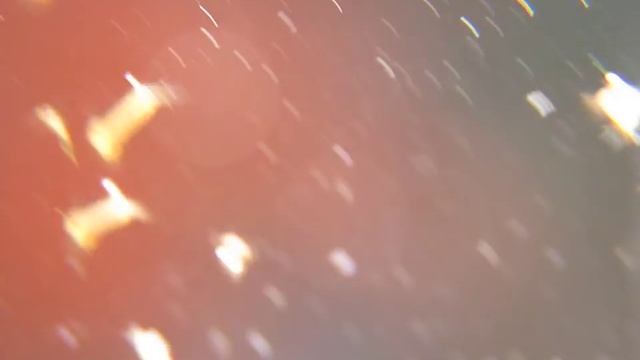 The wonderful world of water. Young residents смотреть онлайн