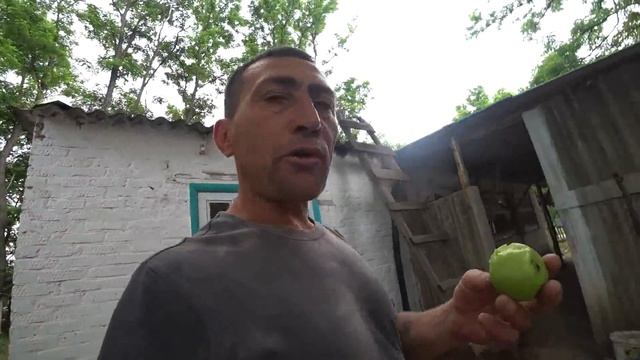 РЫБАЛКА НА КАРПА!