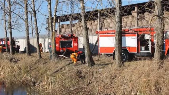 тактико специальное учение льнозавод смотреть онлайн