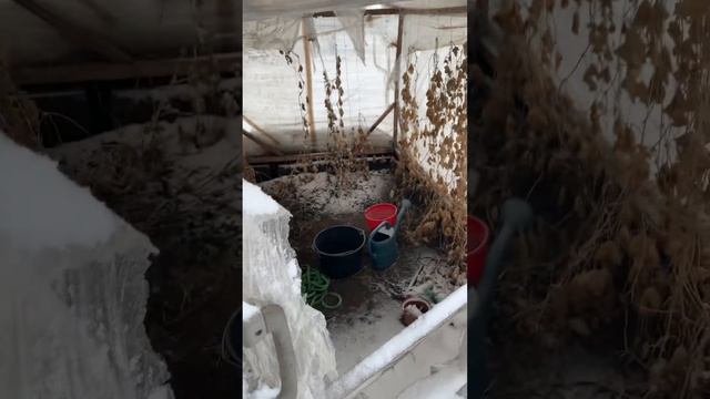 Начало года ребятки lich на огороде ребятки смотреть онлайн