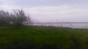 VID_20250420_171512.mp4