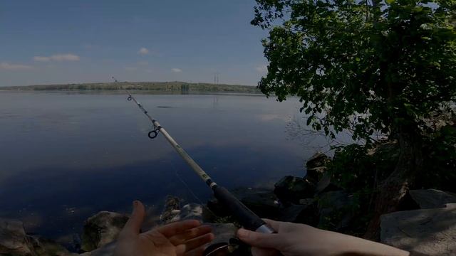 РЫБАЛКА на ДОНКИ ВЕСНОЙ 2024 с берега. Пшено с ПАПРИКОЙ и ЧЕСНОКОМ в ПРИКОРМКУ.