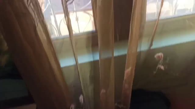 Video 2022 12 10 16 43 17