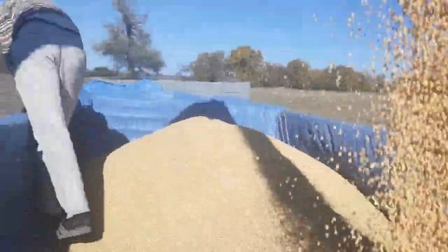 John Deere 1188 комбайн уборка сои