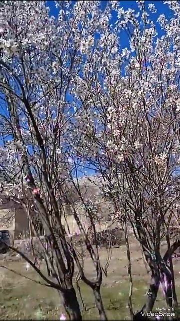 Лёгкого понедельника всем дорогим друзьям и гостям канала🥰🤗🌄❤️🍰☕🌹