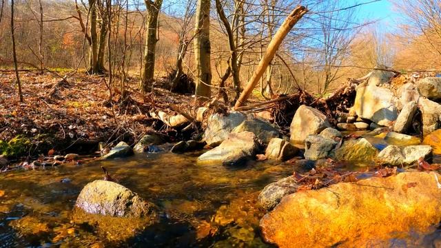 Осенняя пора! Живые звуки осеннего ручейка! смотреть онлайн