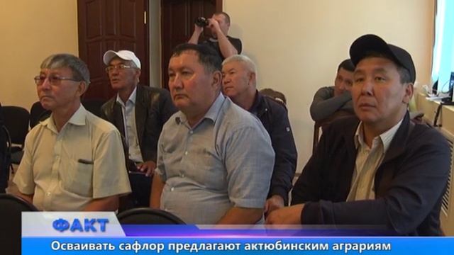 Осваивать сафлор предлагают актюбинским аграриям смотреть онлайн
