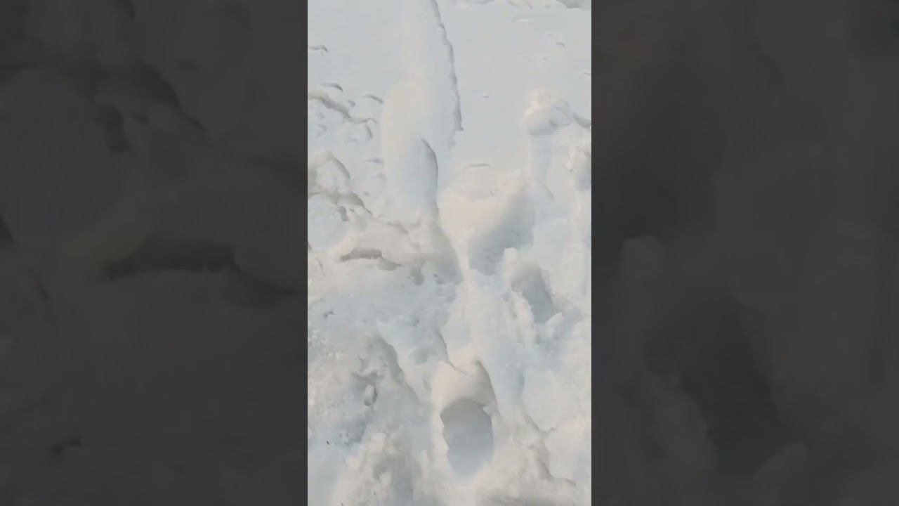 Вокруг белым бело, 13 марта 2024г Саратовская область. смотреть онлайн