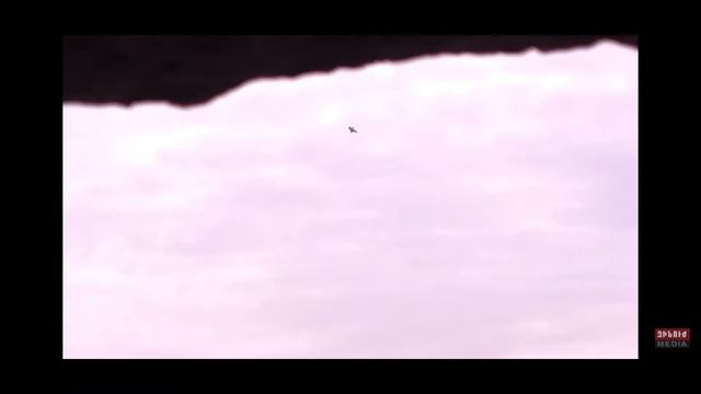 Ash Sargsyan Edgar Shahinyam - Tun Kgam Mam смотреть онлайн