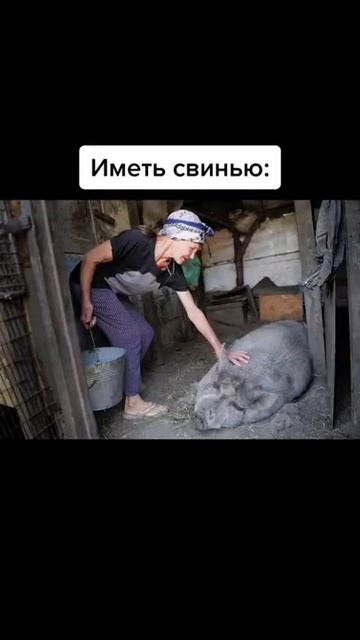 Иметь свинью: #shorts смотреть онлайн