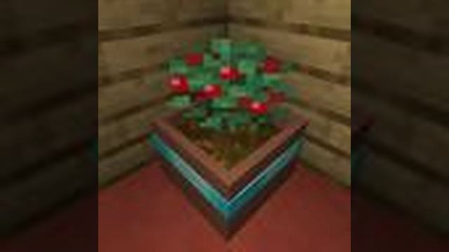 Скачать мод Botany Pots Tiers [1.20.1], [1.19.2], [1.18.2], [1.16.5] смотреть онлайн
