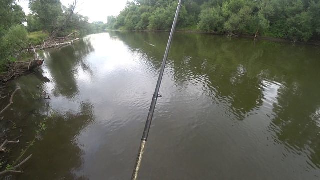 бомбарда 17.08.23