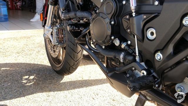 MV Agusta Turismo Veloce 800 Lusso - Unboxing, Walkaround, Details