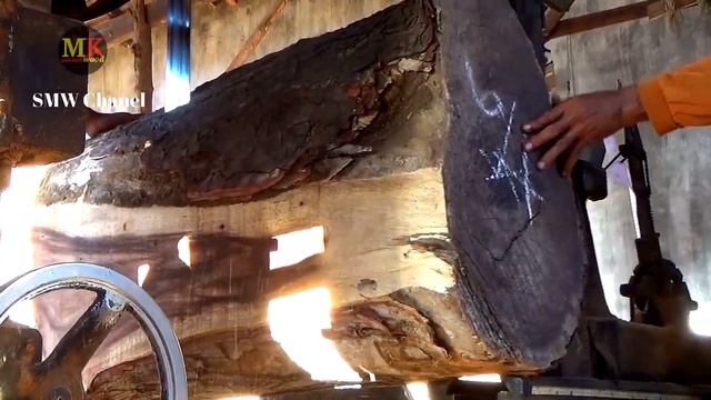 kayu tua usia 88th,inilah penampakan kayu raksasa yg memiliki motif super garang & dihargai selangi смотреть онлайн