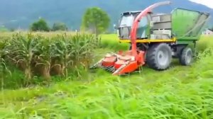 Невероятно красивая работа комбайнов на поле.