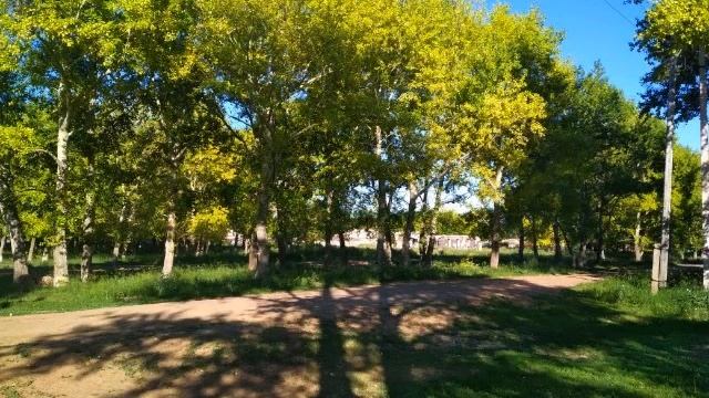 Туған жер. Арман Ахметов